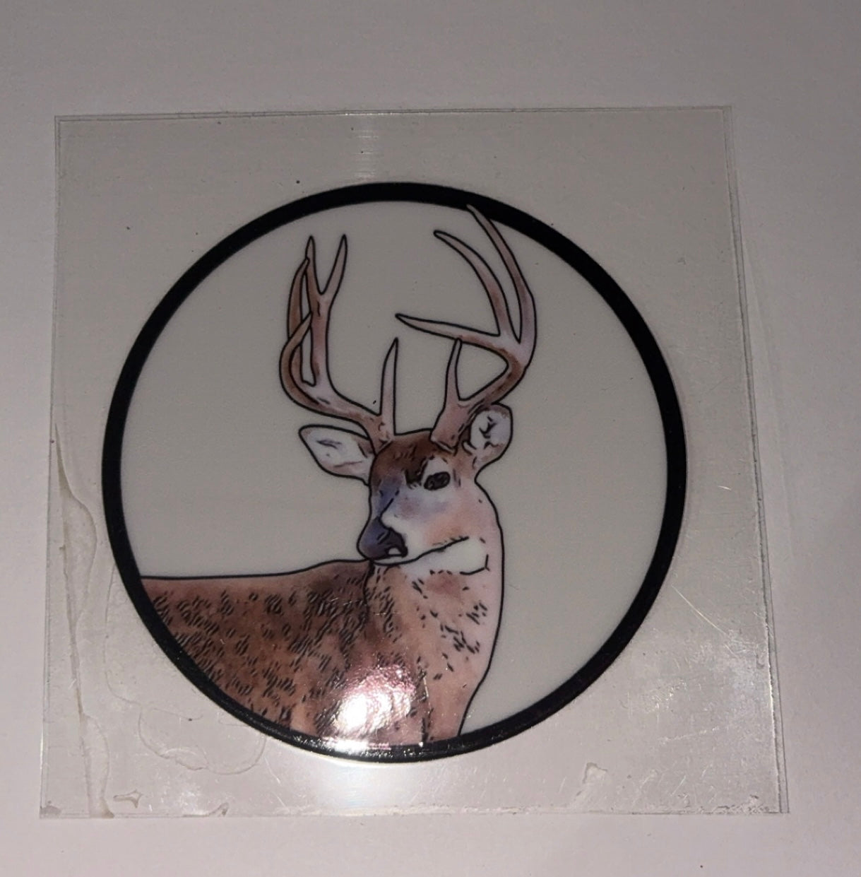 Animals 2