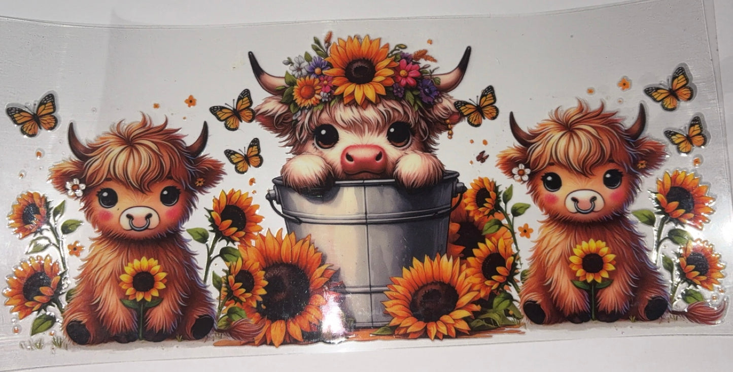 Animals 6