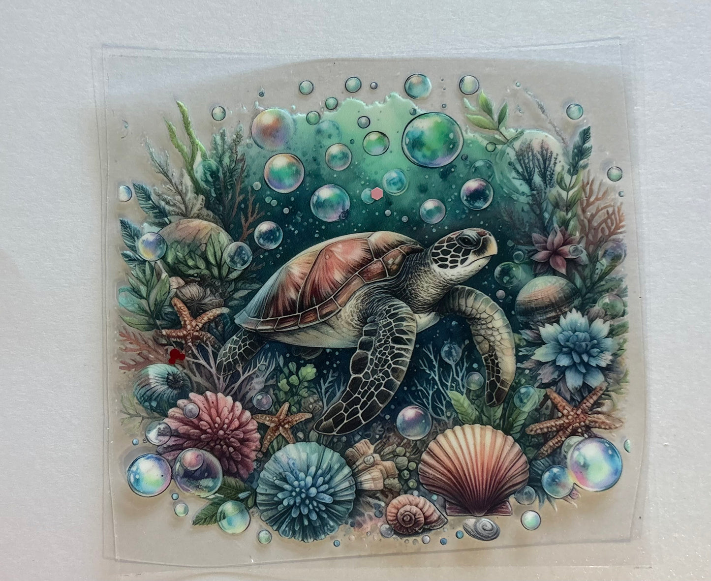 Animals 19
