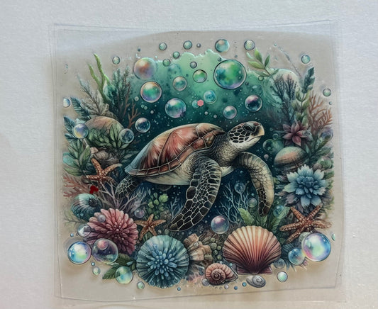 Animals 19