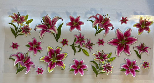 FLoral 9